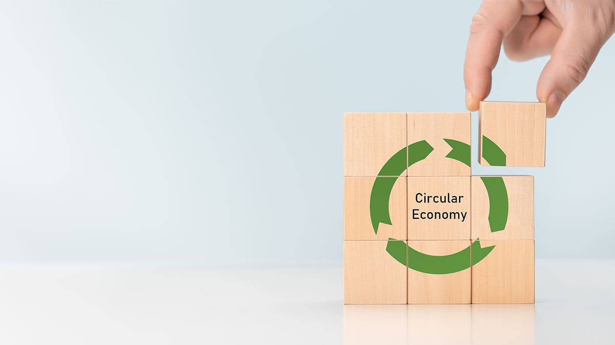 Why are consumers entering the circular economy?