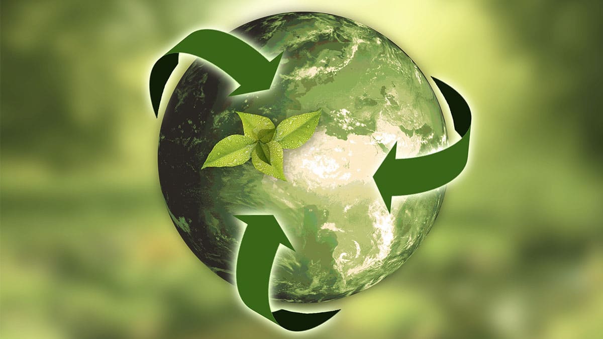 Los reportes ESG abren la puerta a un mercado honesto y visionario
