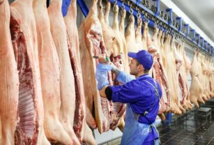 industria-frigorifica-carne