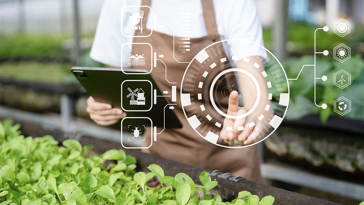 Implementan nuevos usos de inteligencia artificial en la industria de alimentos