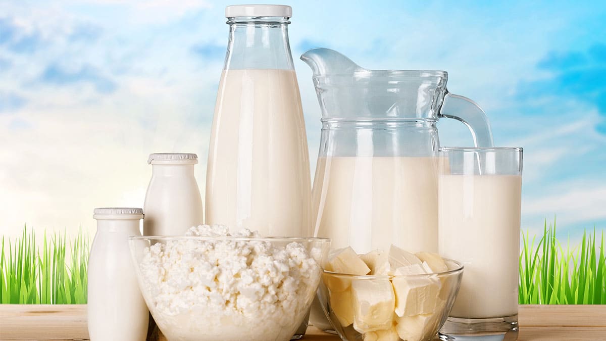 ¿El consumo de lácteos es bueno para la salud?