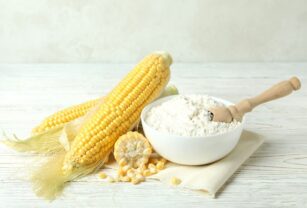Proteína de maíz podría mejorar la textura de la carne alternativa