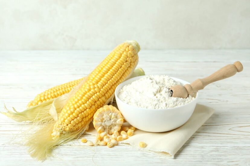Proteína de maíz podría mejorar la textura de la carne alternativa