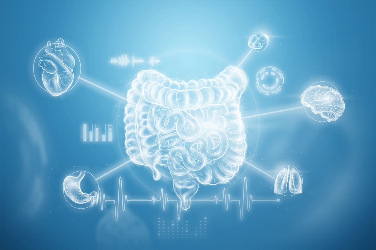 Esta es la importancia del microbioma