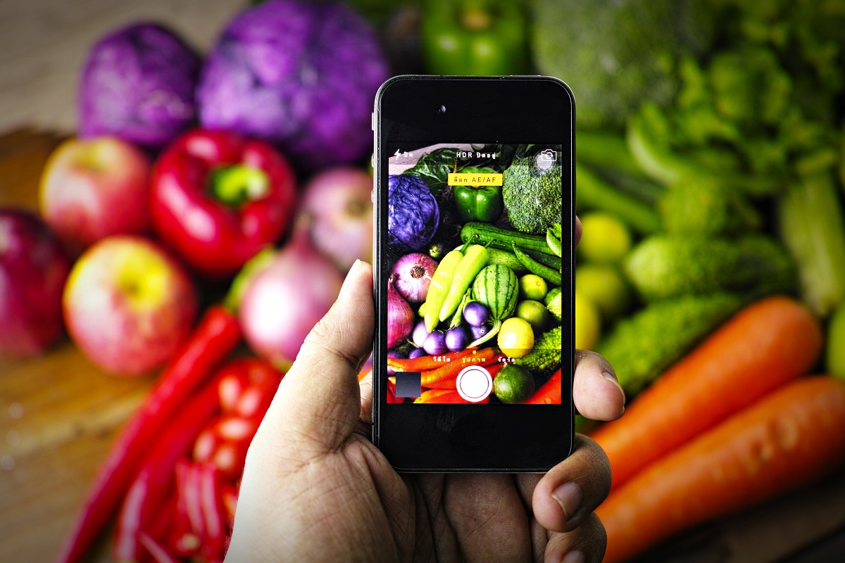 Conoce la plataforma que podría predecir cambios en el futuro de la alimentación