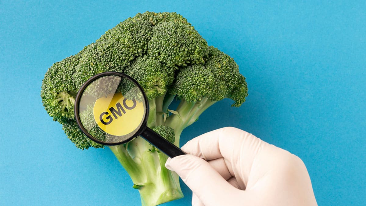 10 riesgos alimentarios que se pueden prevenir