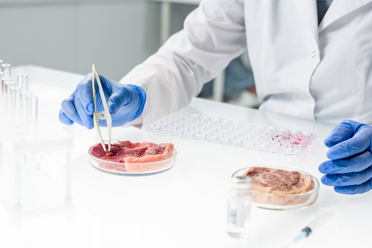Evaluación de riesgos de aditivos alimentarios: avances en metodologías toxicológicas y regulatorias