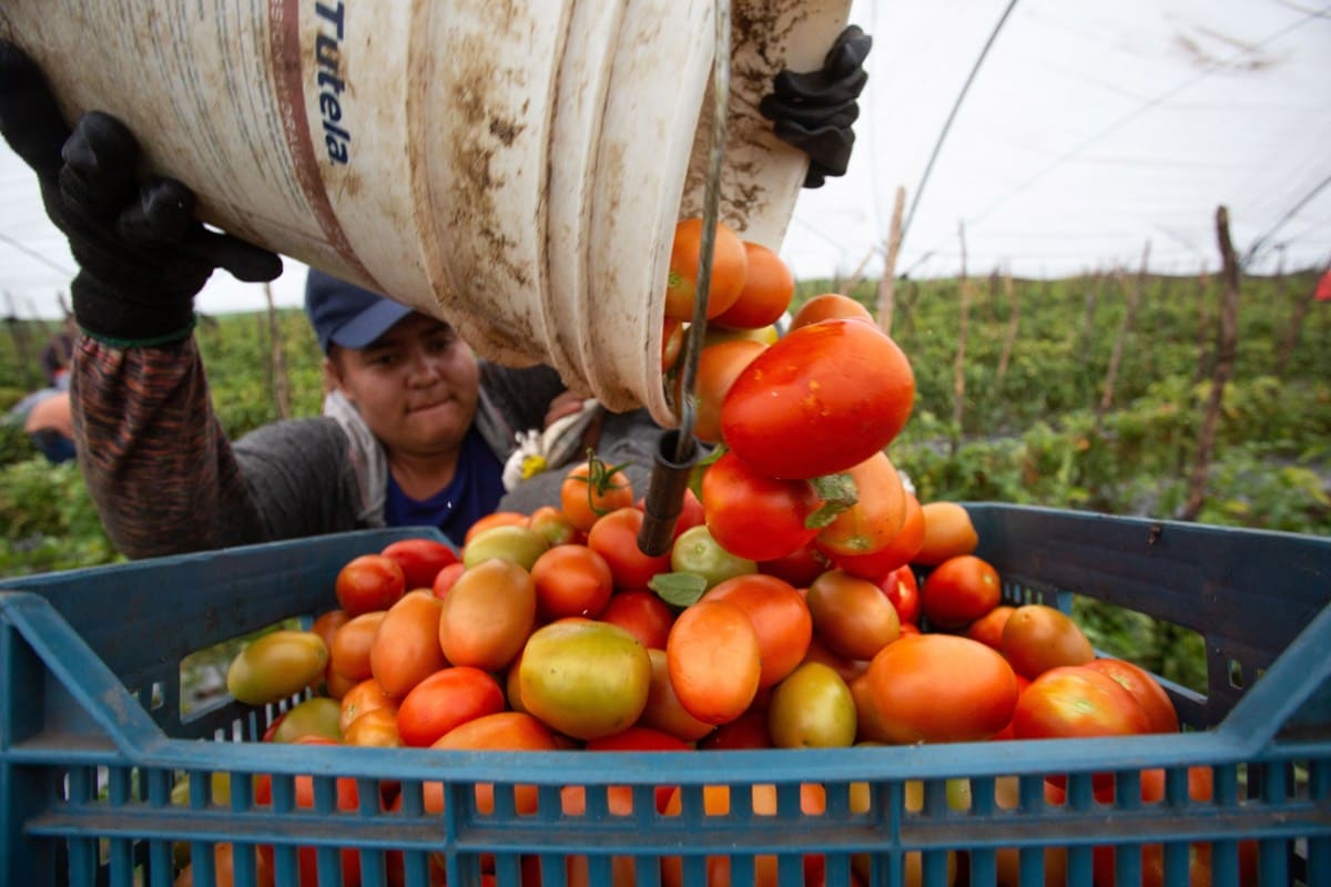La actividad económica de México crece un 4,3% interanual en mayo