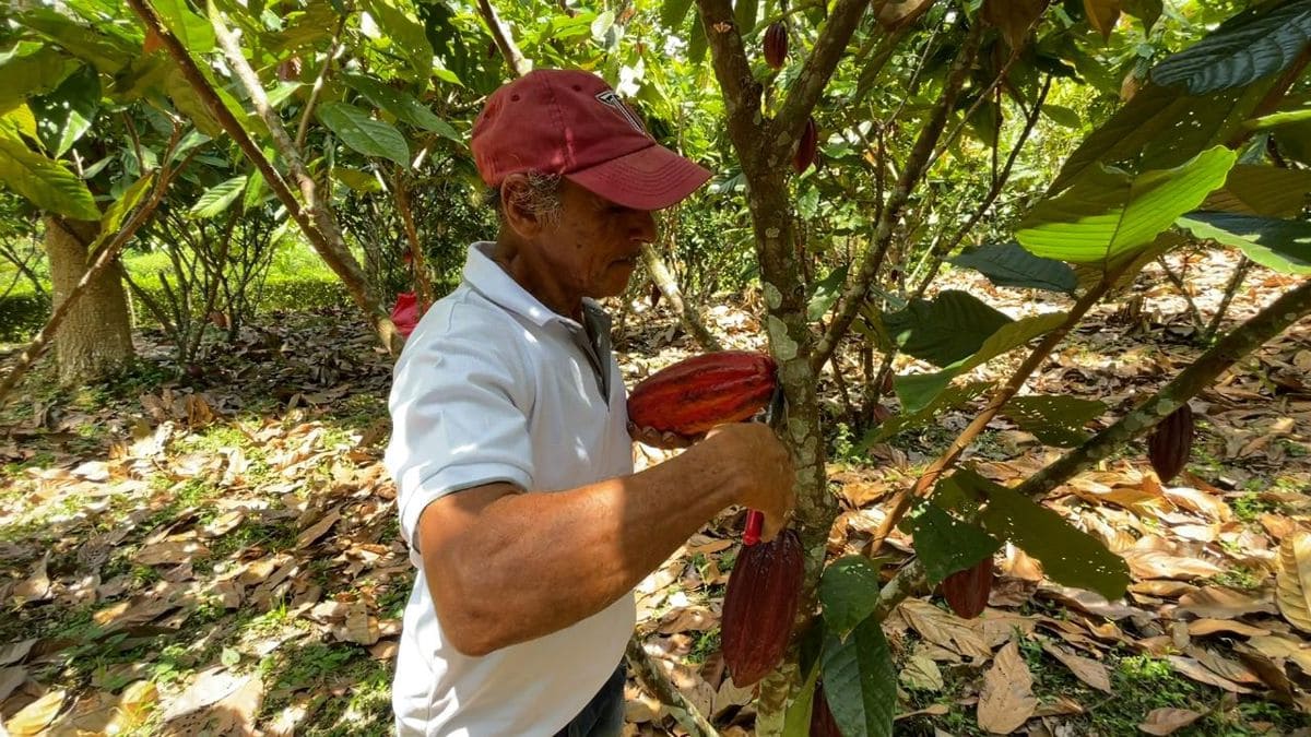 La cooperación técnica del IICA benefició a 2.000 productores agrícolas en Costa Rica