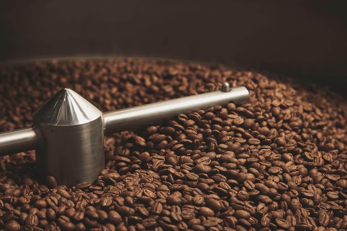 Los precios del café bajan el 2.4% en junio pese al máximo de la variedad robusta