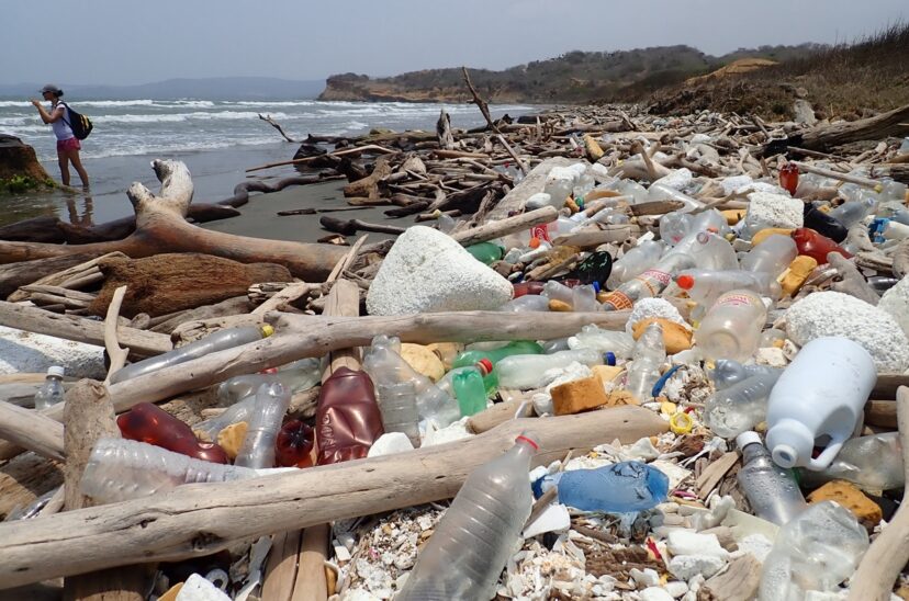 Los residuos plásticos, un agente para la propagación de especies invasoras en el Caribe