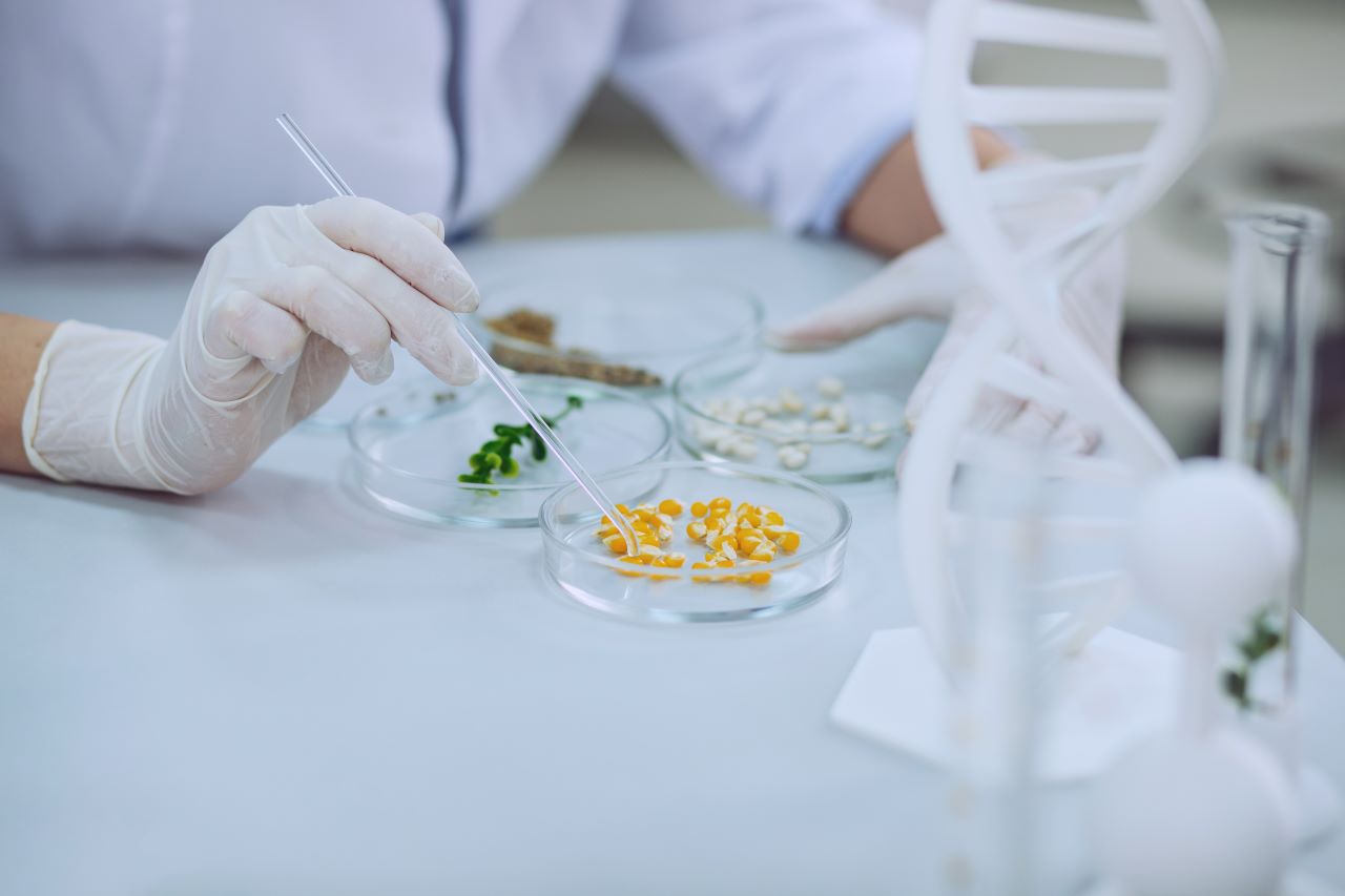 Criterios microbiológicos según el Codex Alimentarius