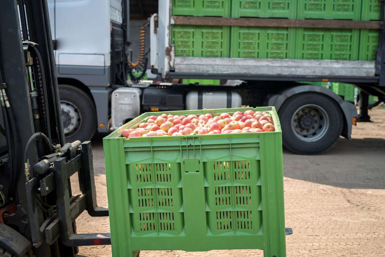 Transporte de alimentos en Latinoamérica: normativas y regulaciones