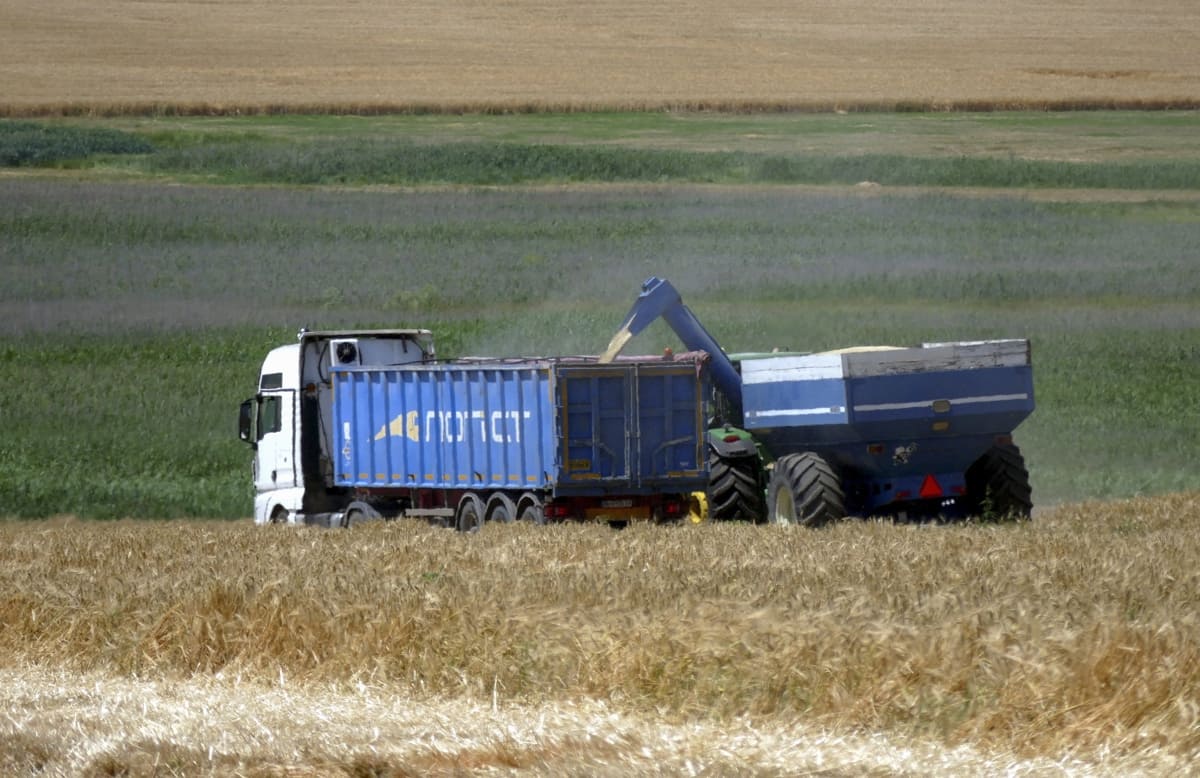 Zelenski pide “incrementar la presión” sobre Rusia para garantizar la exportación de grano