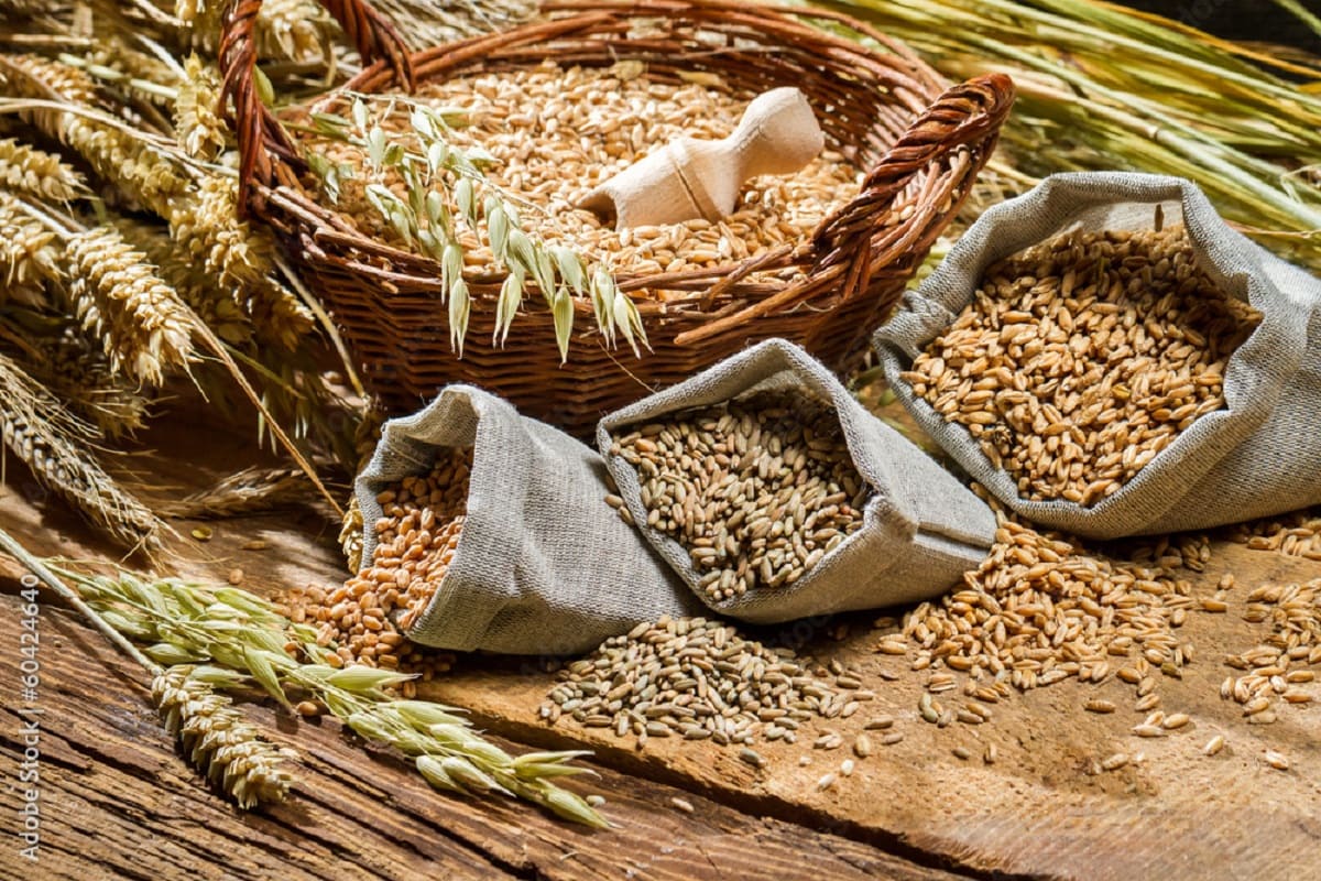 Guterres pide priorizar seguridad alimentaria global al acercarse fin de acuerdo del grano