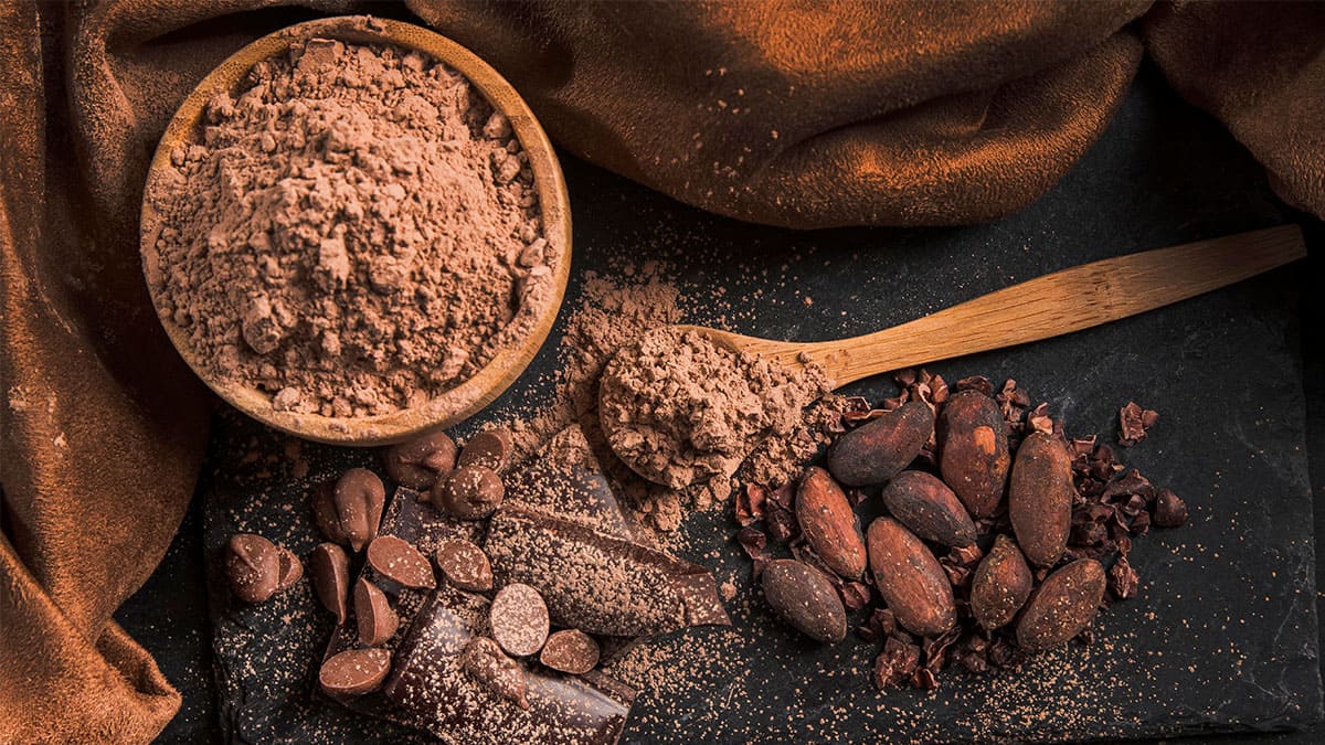 Prioridades y avances tecnológicos del cacao para festejar su día