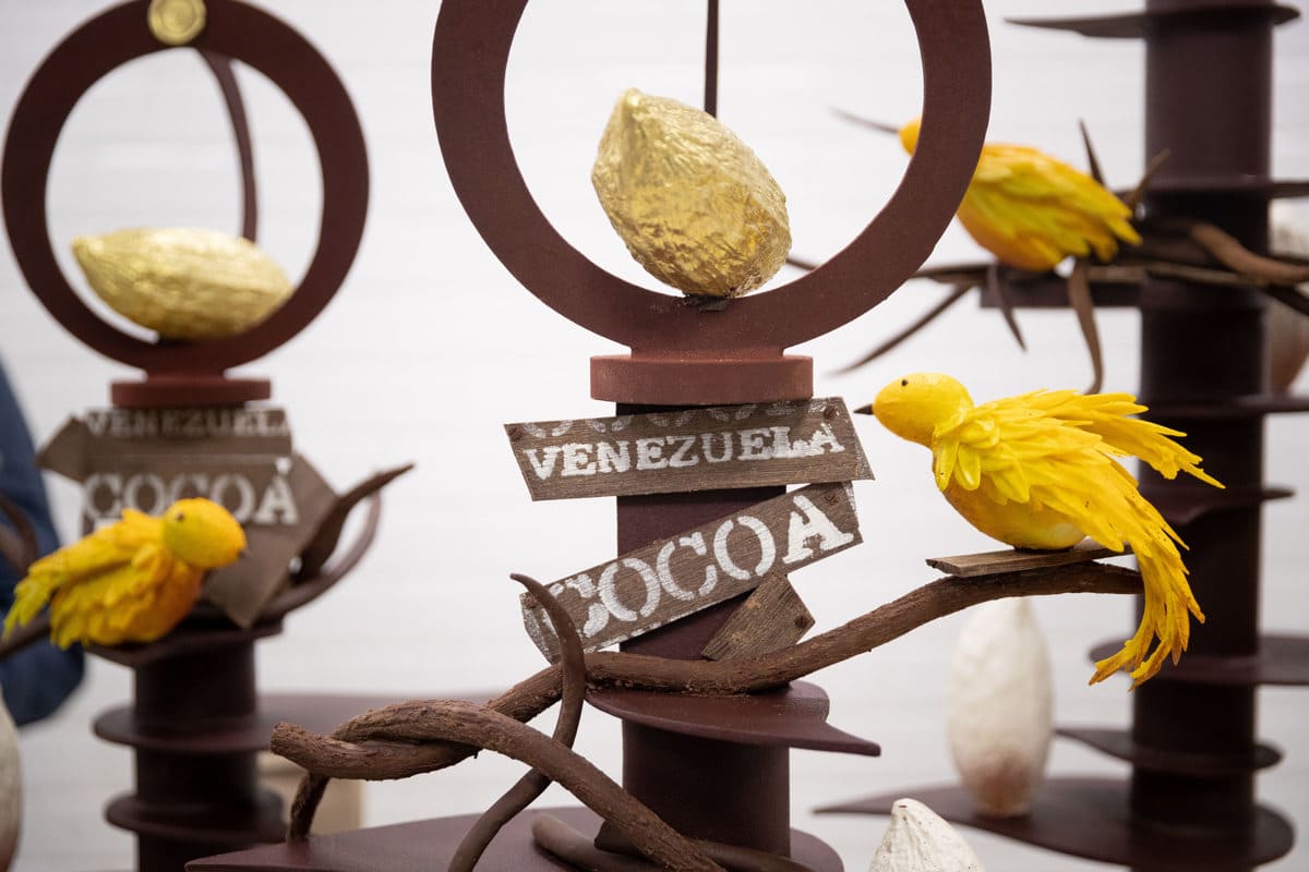 El chocolatero español Lluc Crusellas encuentra en Venezuela un cacao de "mucha calidad"