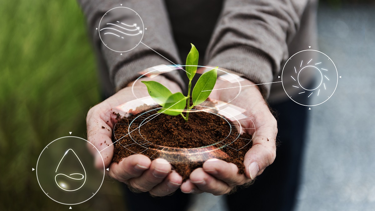 Ley contra la deforestación no incentivaría la agricultura regenerativa