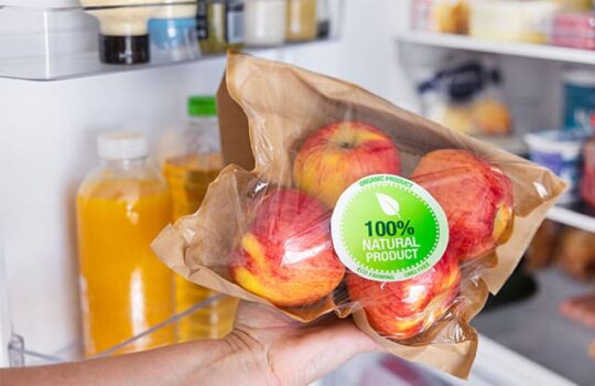 Mega Pack De Etiquetas Mágicas De Reno • 9 Diseños De