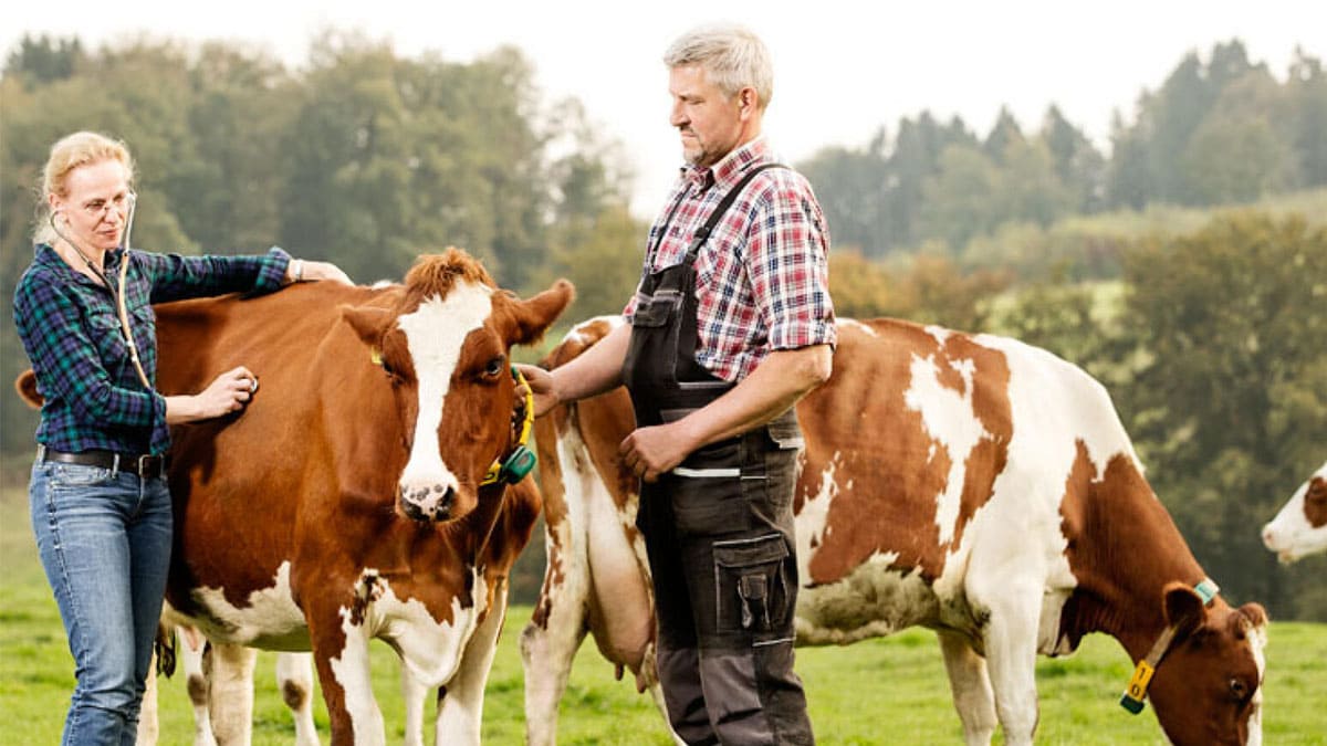 La FAO llama a reforzar la bioseguridad ganadera y acuícola en Latinoamérica