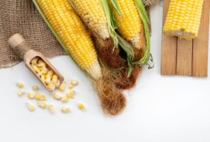 producción de maíz