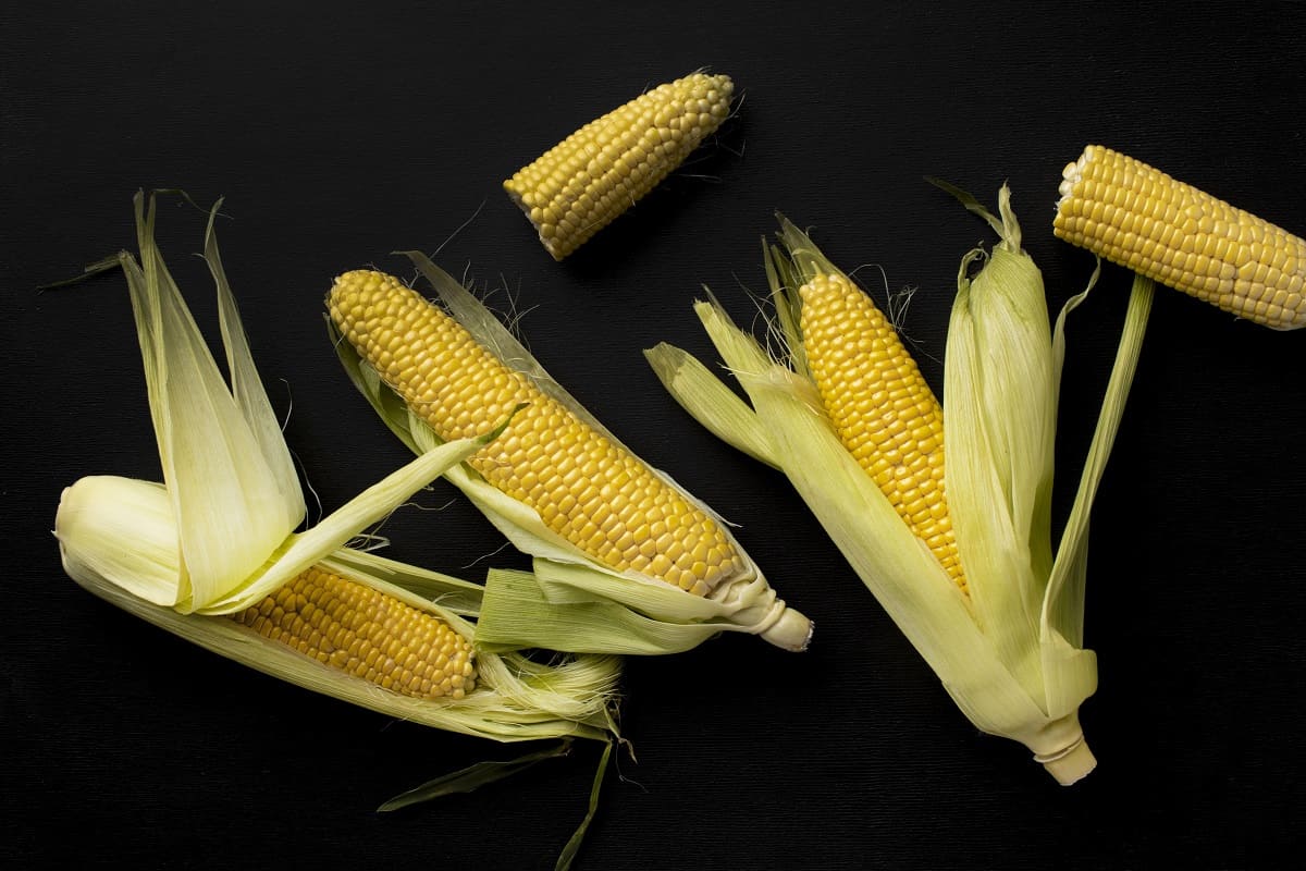Fermentación del maíz: tradiciones y nuevas aplicaciones