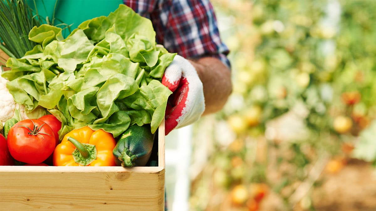 La UE renueva la liberalización de los productos agrícolas moldavos