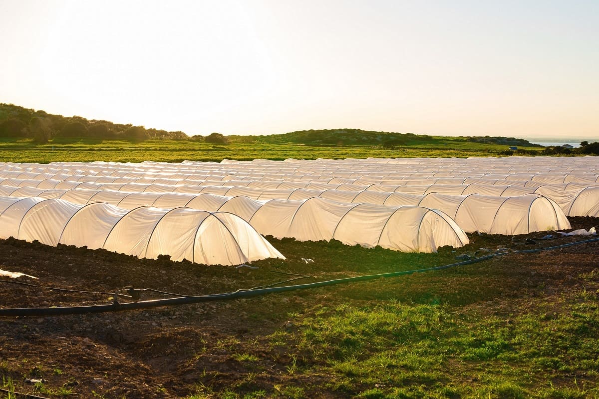 Un proyecto de AIMPLAS valorizará residuos para su aplicación en agricultura