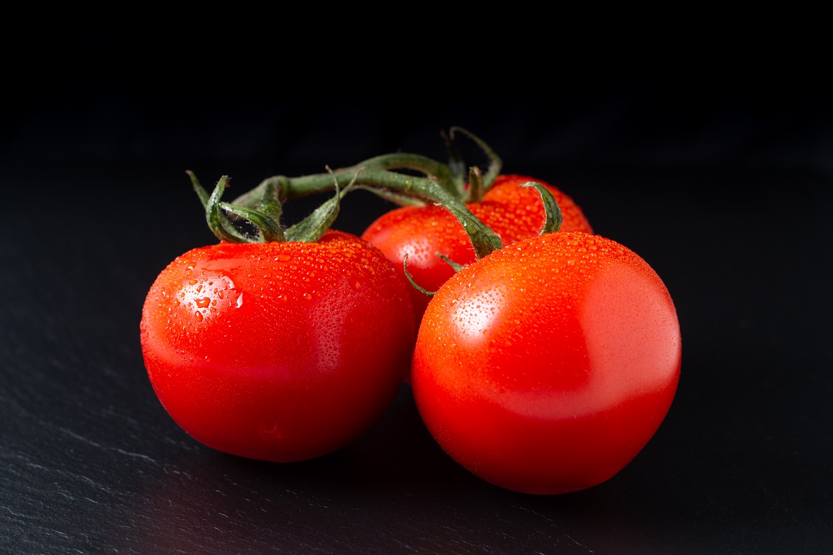 Desarrollan resina con desechos de tomate para recubrimiento de envases