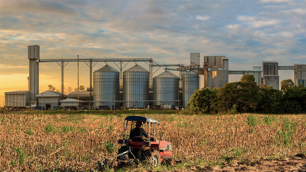 Restricciones e impuestos centran el debate electoral en el sector agrario de Argentina
