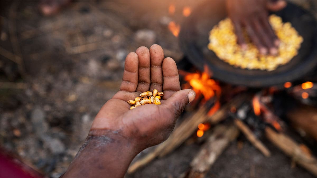 La ONU acusa a Rusia de poner en riesgo la seguridad alimentaria en el mundo en desarrollo