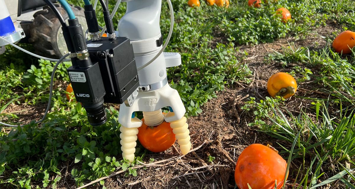 Sistema tecnológico para reducir el desperdicio de alimentos
