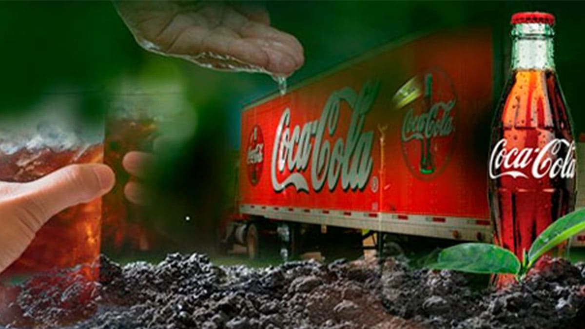 Descubre Como The Coca Cola Comany Trabaja En Sostenibilidad