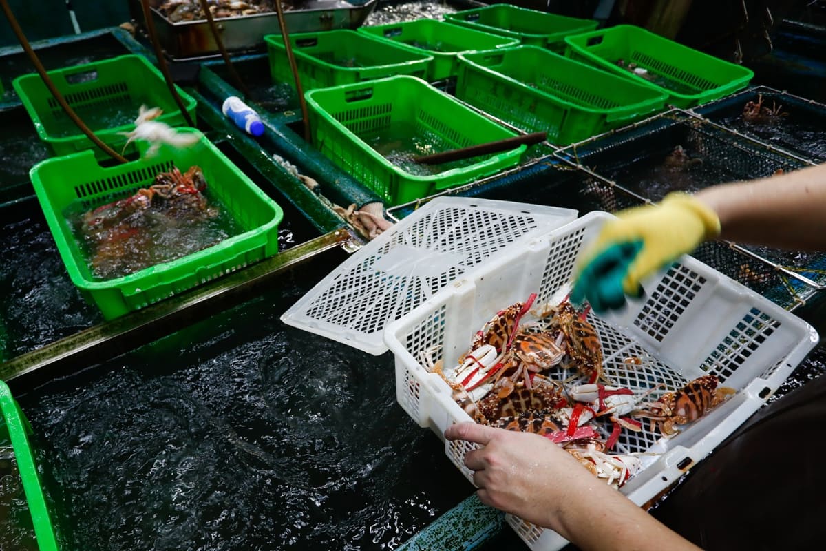 China suspende importación de productos acuáticos japoneses "por riesgo de contaminación"