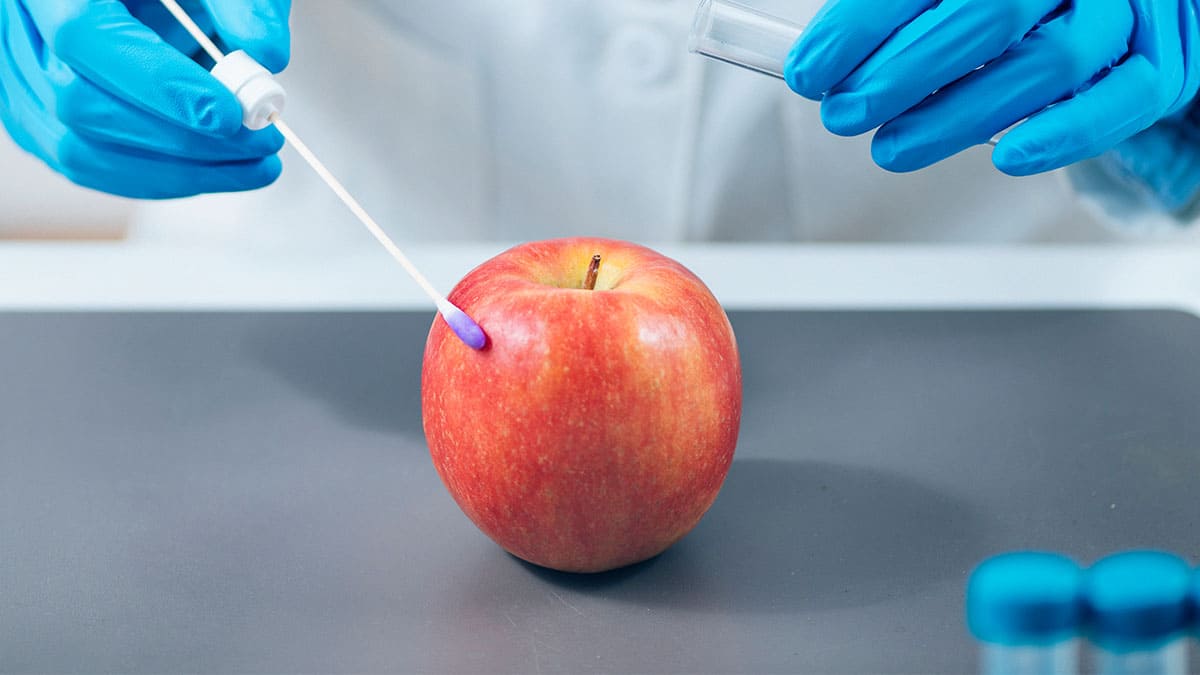 Ingrediente antienvejecimiento a partir de la biomasa de manzana