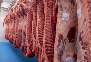 carne-roja-exportacion