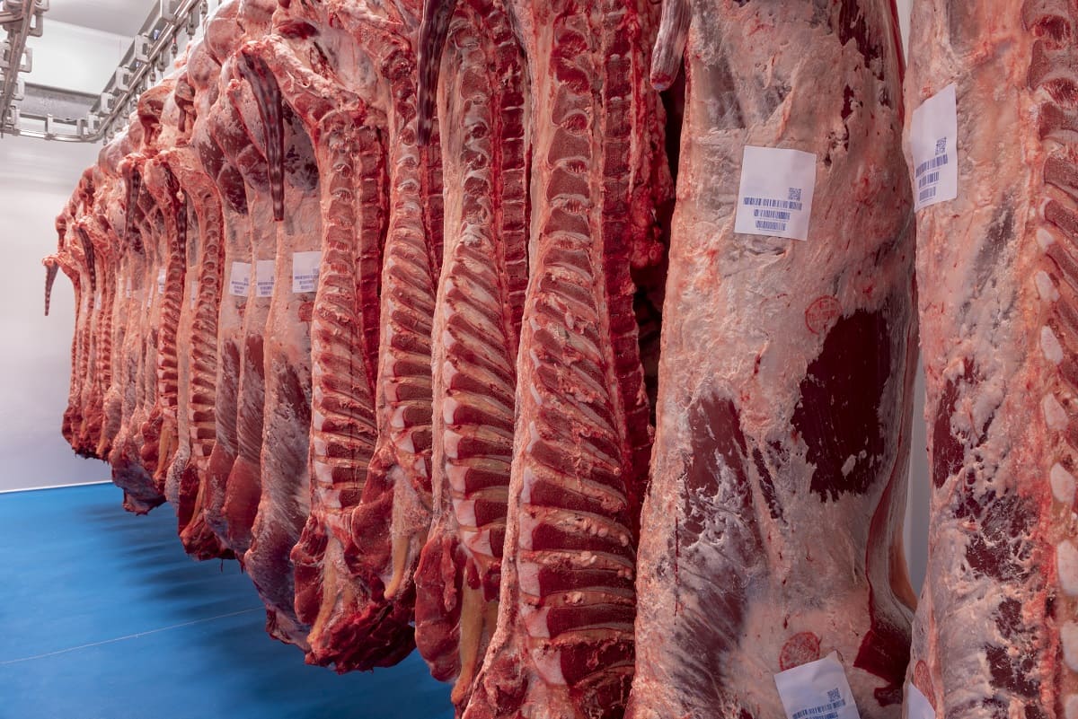 Exportaciones de carne roja americana crecerán en México