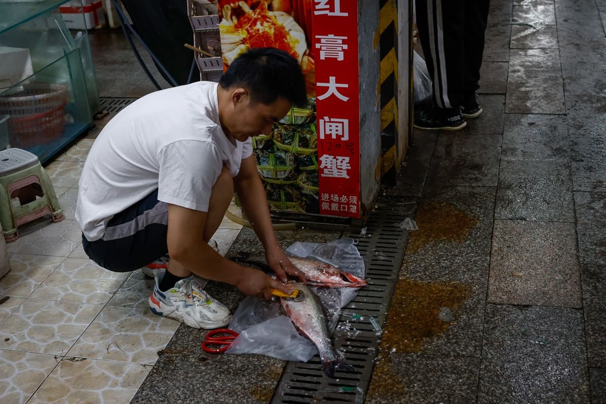 Hong Kong prohíbe las importaciones de productos acuáticos de diez prefecturas japonesas