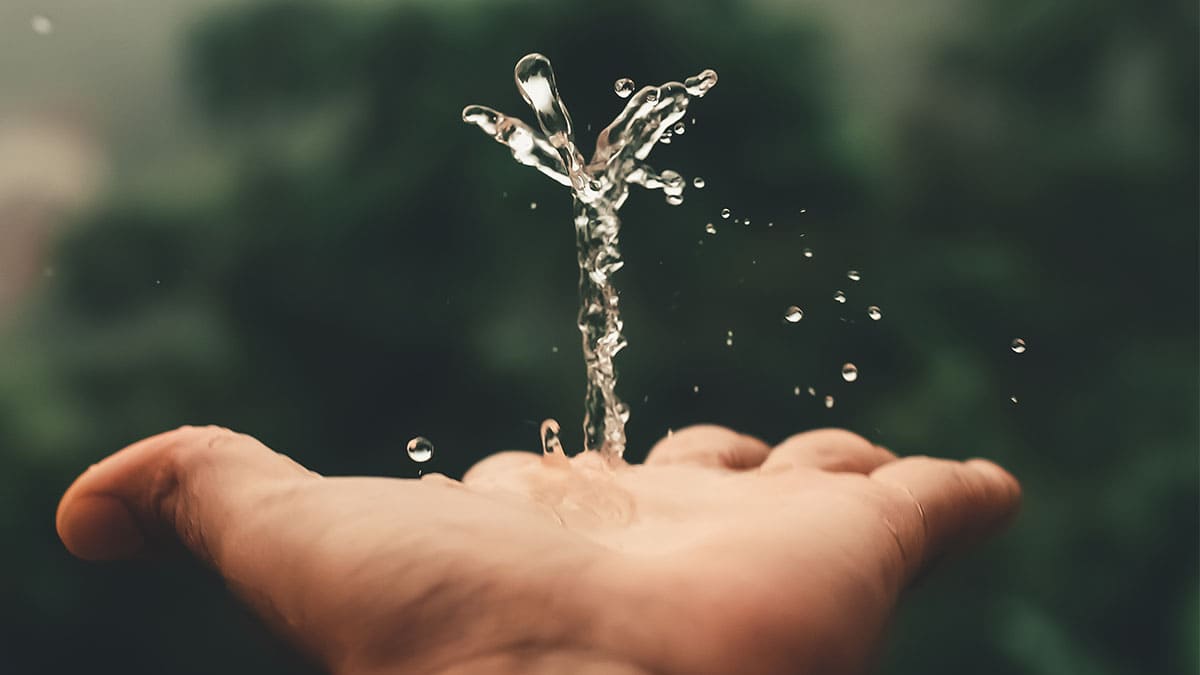 Heineken lanza convocatoria al cuidado del agua