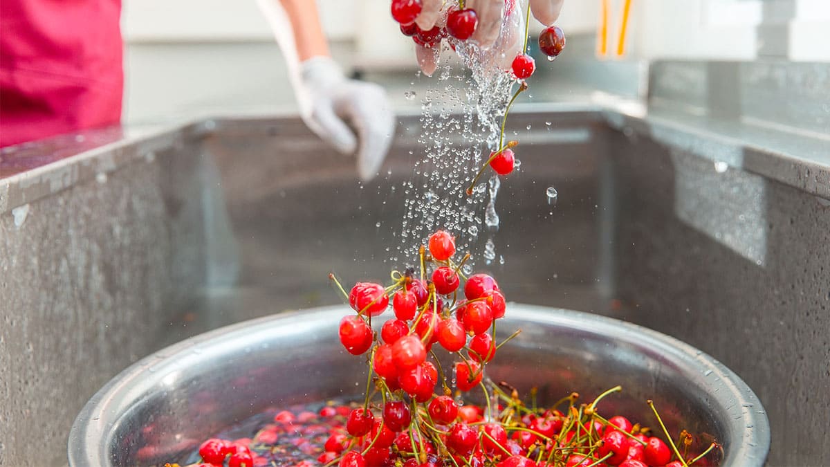 IICA y FDA lanzan sitio sobre norma de inocuidad para exportar productos frescos a EEUU