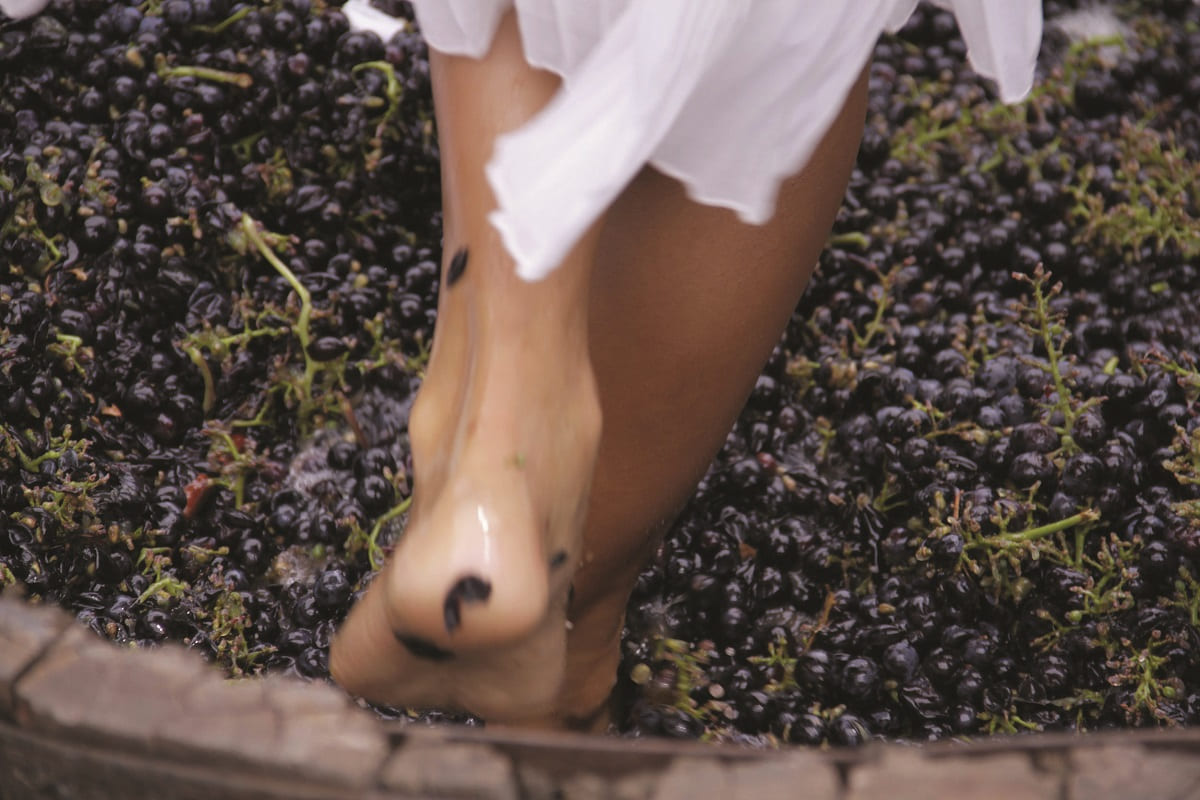 La pisada de uvas, una tradición que impulsa el consumo de vino