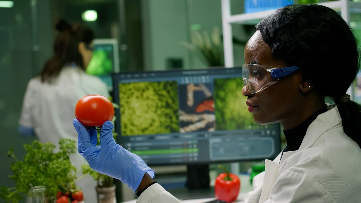Evalúan tecnología para escalar los recubrimientos alimentarios comestibles