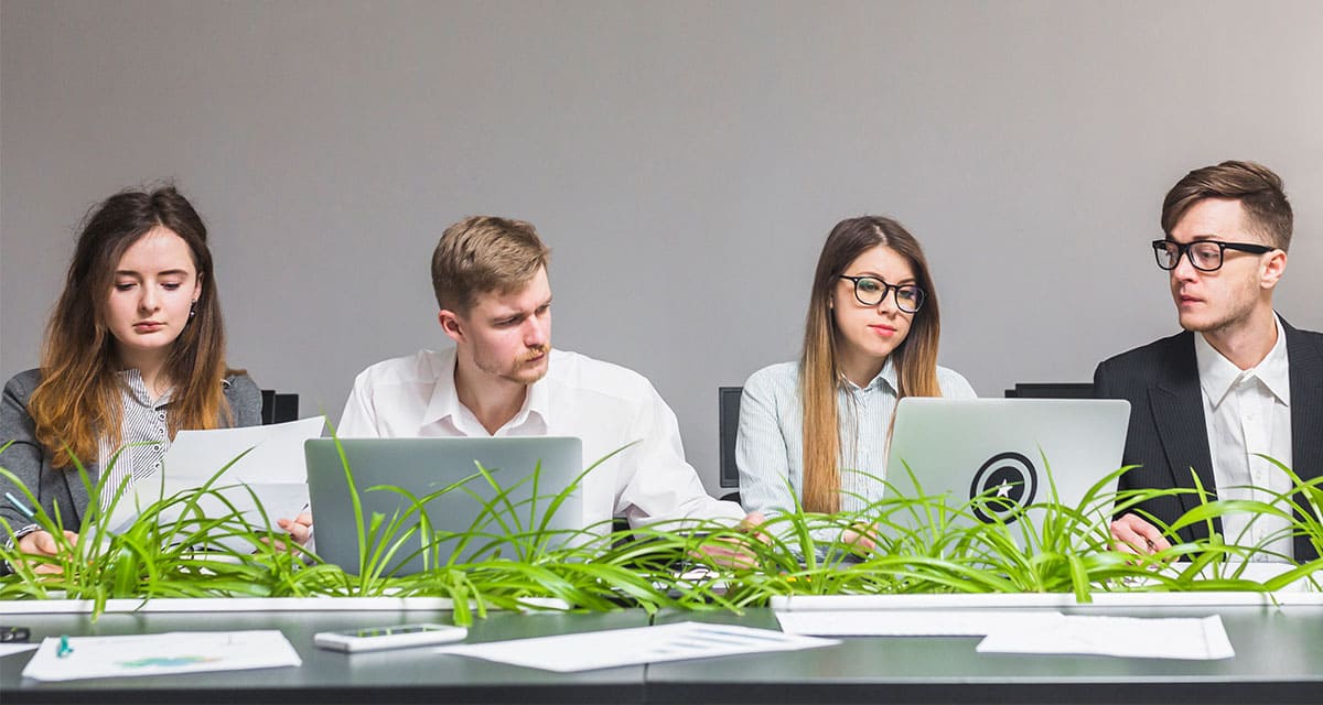 7 startups latinoamericanas son seleccionadas para innovar sus proyectos