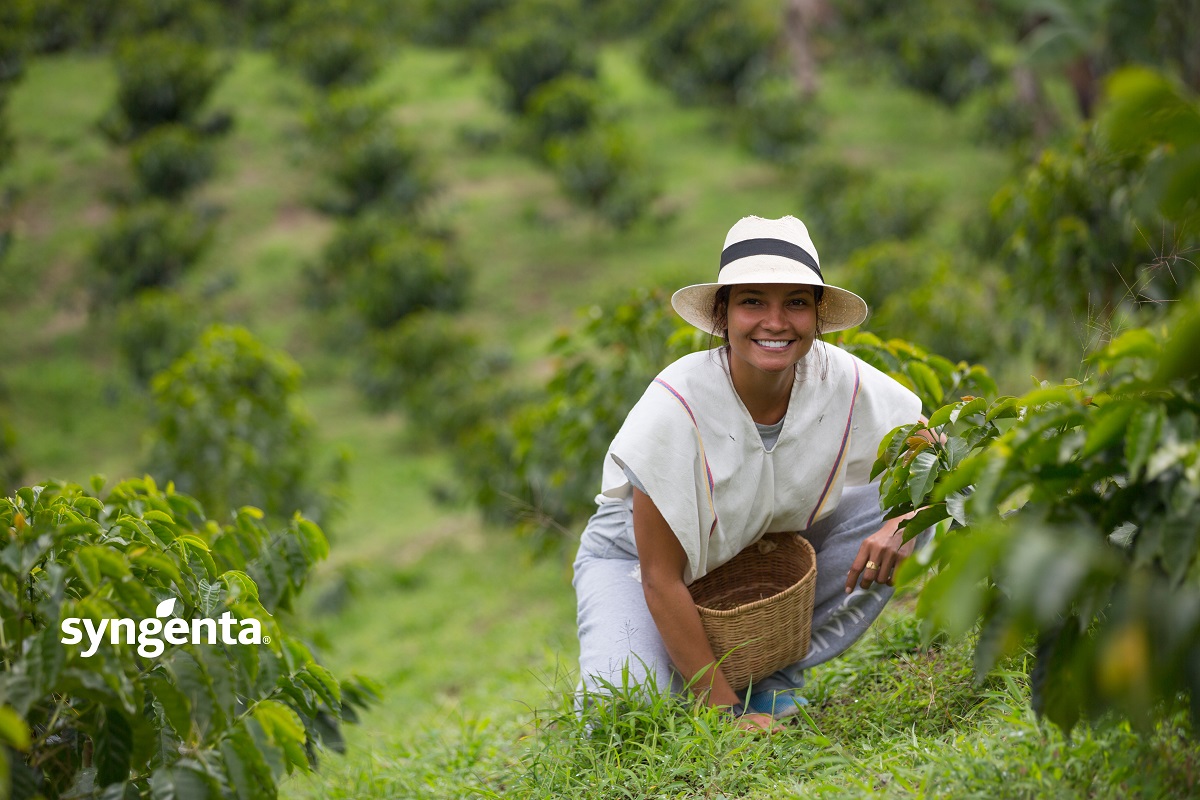 Innovación y tecnología: los pilares para lograr una agricultura productiva sostenible