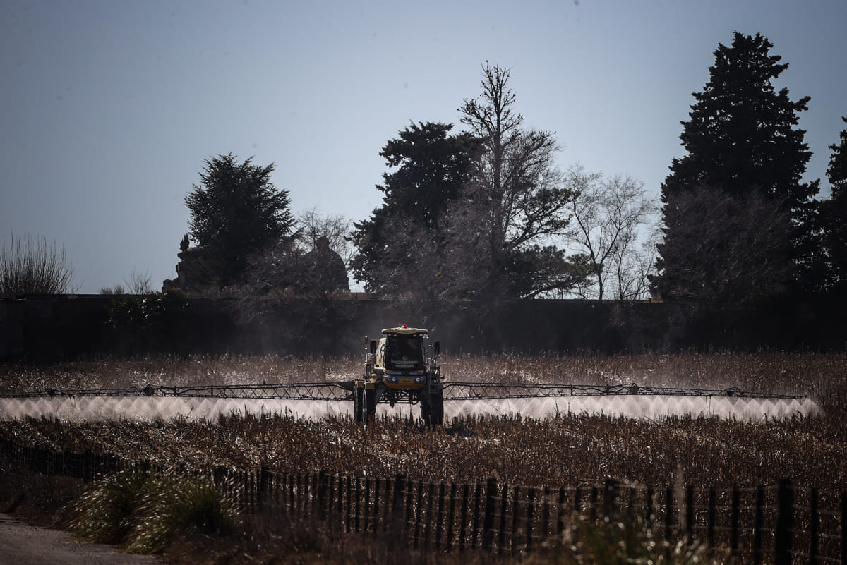 Argentina prevé un aumento del 70% en la campaña agrícola 2023-24 tras la sequía