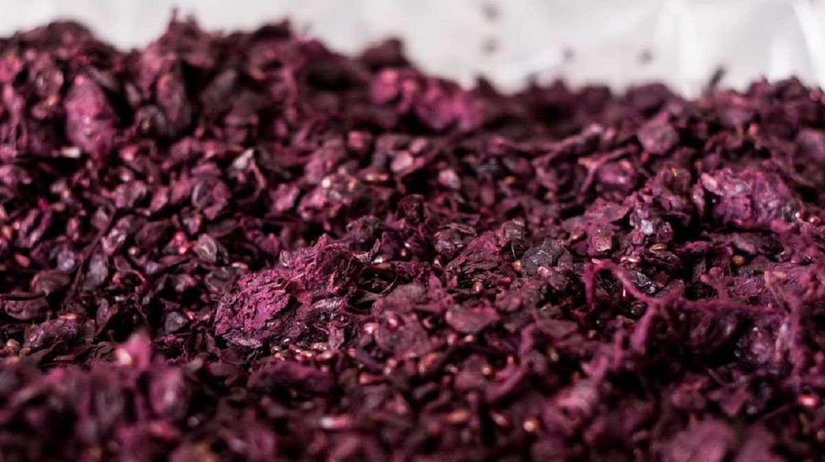 La acuicultura valora el bagazo de vino y cerveza como ingredientes funcionales y nutricionales