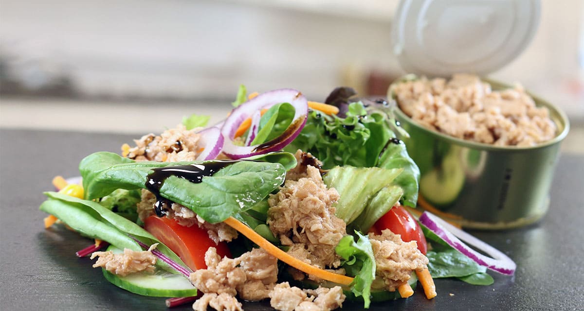 Desarrollan atún vegano en lata
