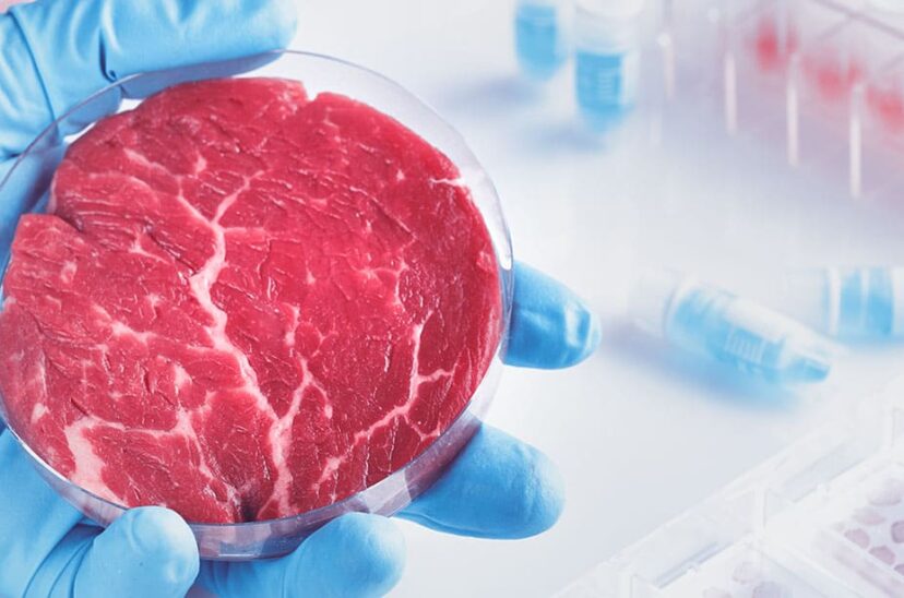 carne a base de celulas