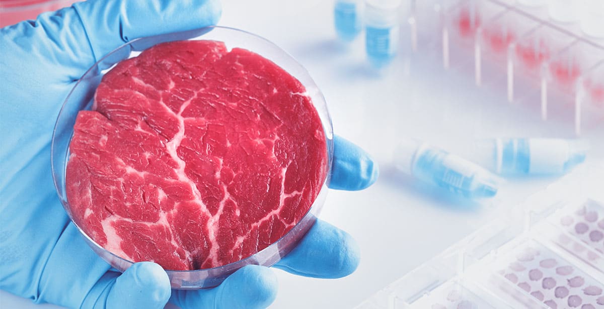 ¿Cuánto falta para consumir carne cultivada?