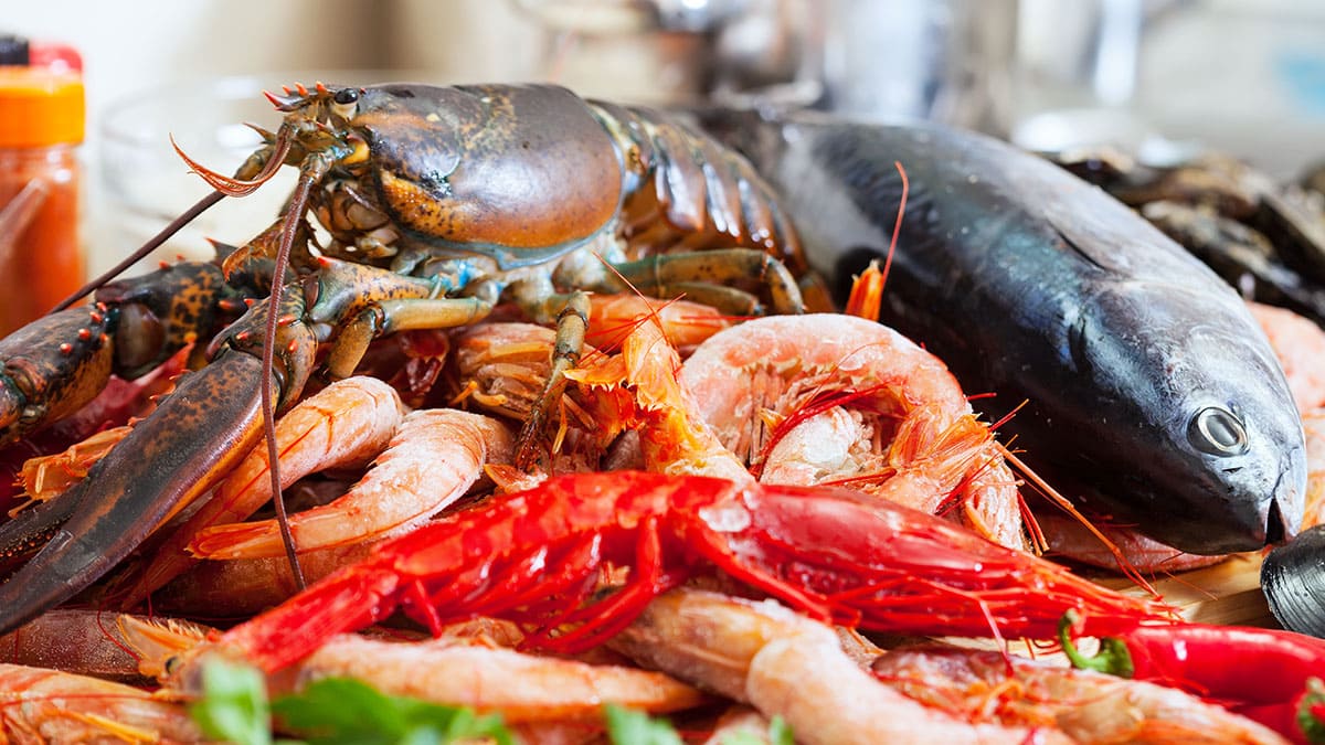 Comepesca celebra 20 años de promoción de productos pesqueros